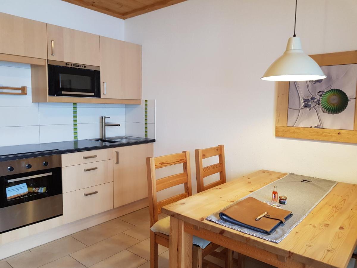 Appartements Gosaukamm.Com מראה חיצוני תמונה