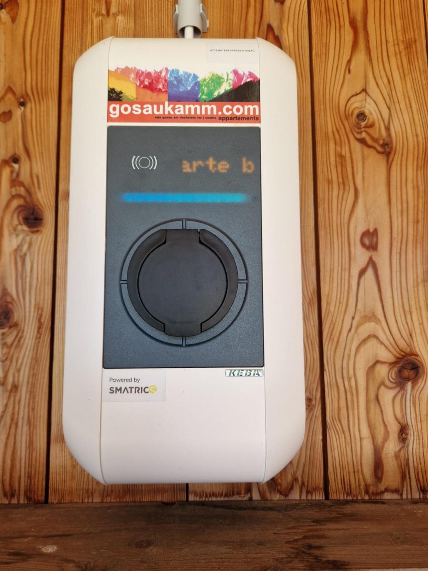 Appartements Gosaukamm.Com מראה חיצוני תמונה